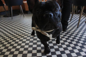 Dog Friendly Strathaven Hotel Bar