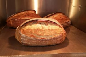 roasted bread